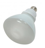 Flood & Spotlight Bulbs