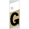 1" - G Black/Gold Slanted Aluminum Letters 0