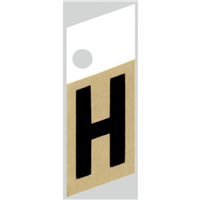 Slanted Aluminum Letter, 1", Character: H, Black/Gold 0