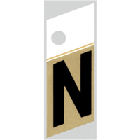 Slanted Aluminum Letter, 1", Character: N, Black/Gold 0