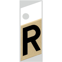 Slanted Aluminum Letter, 1", Character: R, Black/Gold 0