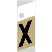 Slanted Aluminum Letter, 1", Character: X, Black/Gold 0