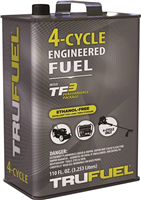 Fuel 4-Cycle Ethanol Free 110OZ 6527206 0
