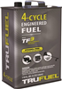 Fuel 4-Cycle Ethanol Free 110OZ 6527206 0