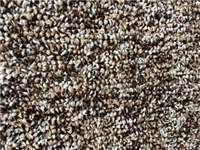 Carpet Ftx 6' Brown/Tan/Ivory Competitor 0