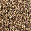 Carpet Ftx6' Brown/Tan Value Grass Turf 0