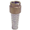 Foot Valve, 1-1/4" Connection, FPT, Brass Body 101-326NL 0