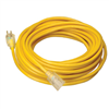 Extension Cord 12/3 Yellow 25'  025878802 0