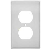 Wall Plate Receptacle 1Gang 2132W White 0