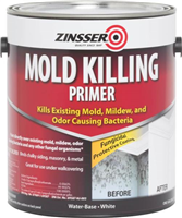 Primer Int/Ext Mold Kill Gal Water Based 276049 0