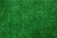 Carpet Ftx6' Grass Spec.Green Lawn Turf 0