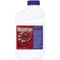 Insect Killer Malathion Qt 50% 993 Bonide 0