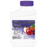 Insect Killer Fruit Tree Spray 202 Pt Co 0